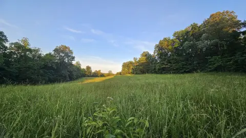 Recreational Hunting and Pasture Land