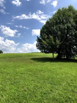 Herrington Lake Golf Course Lot