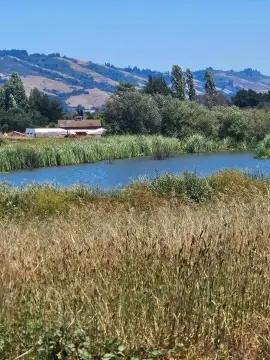 Certified Organic Farmland With Wells