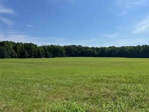 Hollow Rock Land with Amenities