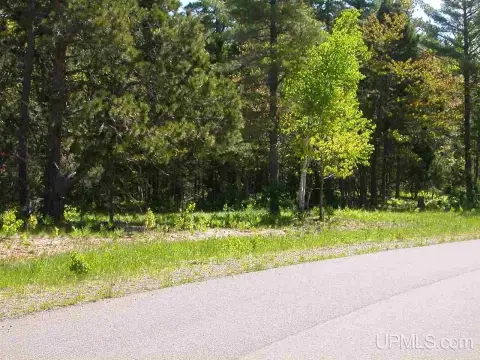 Wooded Land Near Lake Superior