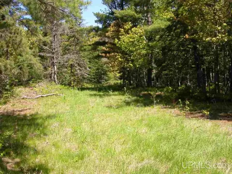 Eagle Harbor Wooded Land Parcel
