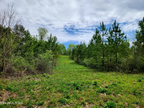 Waterfront Homesite in Gated Community