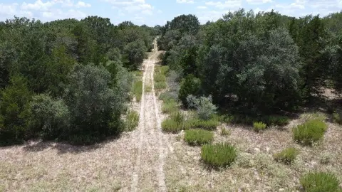 Wooded Hunting Land