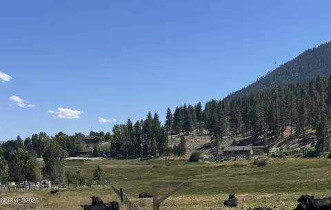 Land in Meadow Valley