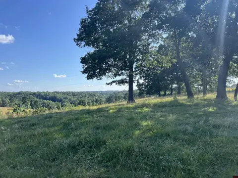 218 Acre Farm/Ranch in Ozarks