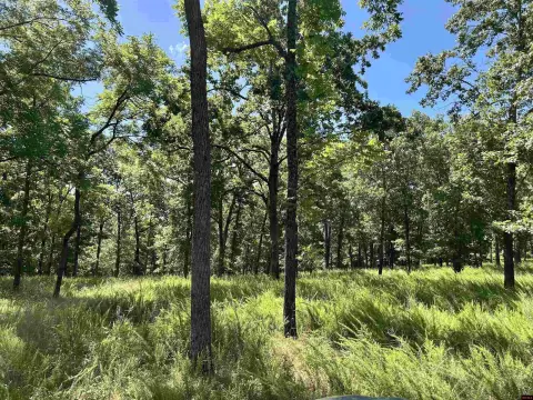 31 Acres Near Pine Mountain