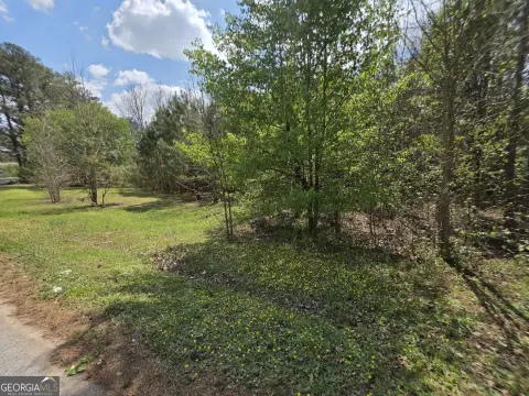 Serene Lot Near Stone Mountain
