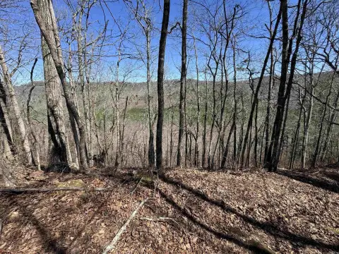 Secluded 10-Acre Hunting Land