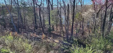 Lakefront Lots in Cherokee Village