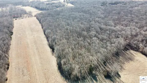 Edwards, MO Land with Runway