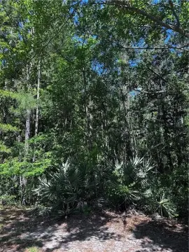 Wooded Lot in Amenity-Rich Community