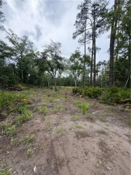 Residential Lot with Marsh Views