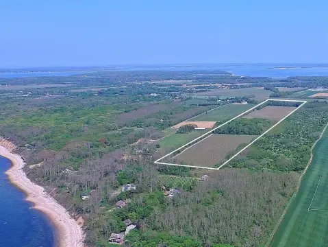 Mature Vineyard Acreage with Agricultural Conservation Zoning