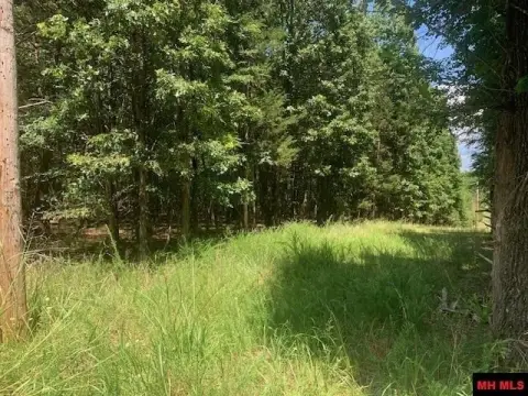 Acreage Near Bull Shoals Lake
