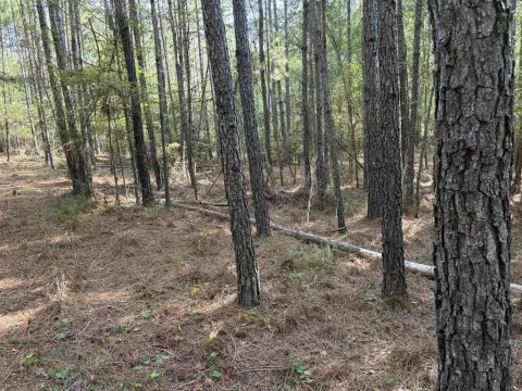 Commercial Land Near Marina