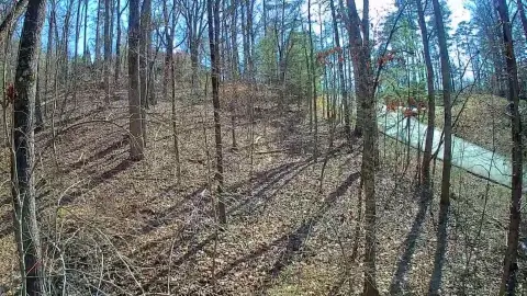 Residential Land in Trenton, TN