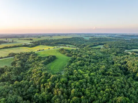 Recreational Hunting and Tillable Land