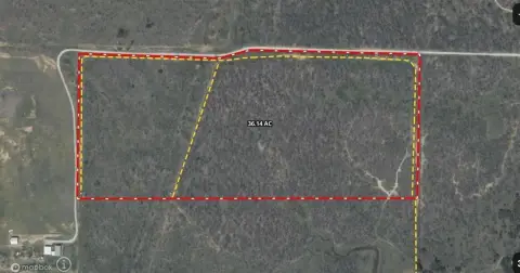 Heavily Wooded Hunting Land