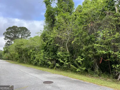 Residential Lot in St. Marys