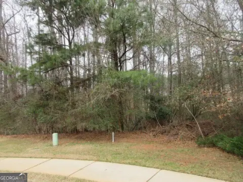 Residential Land in Mcdonough, GA