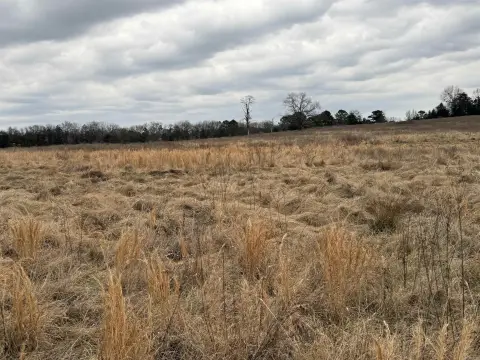 40 Acre Tract in Clarksville
