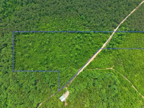 Recreational Hunting Land Tract