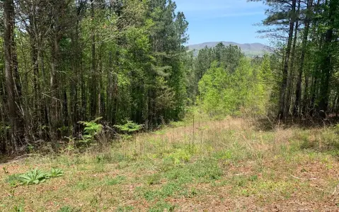 Blairsville, GA Vacant Mountain View Lot