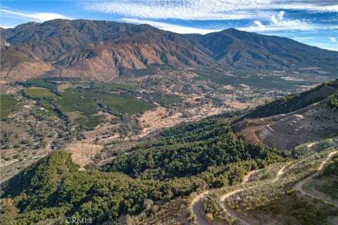 20.54 Acres Avocado Grove