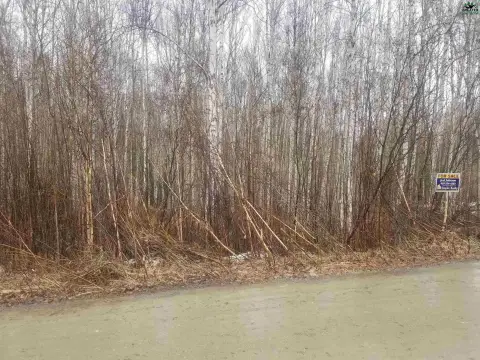 Fairbanks Residential Land For Sale