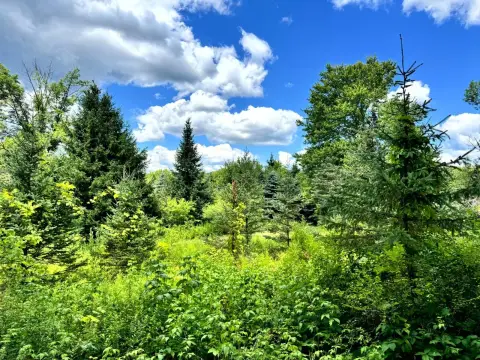 Wooded Recreation Land With Creek