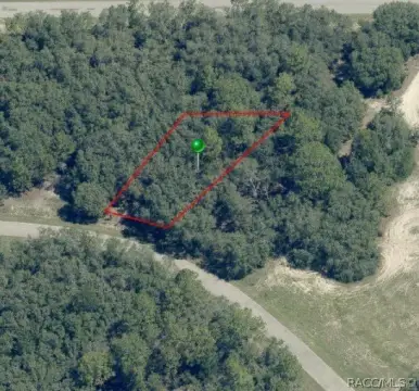 Citrus Springs Buildable Lot