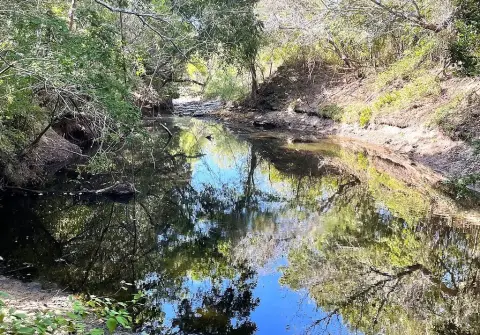 Wooded Waterfront Land
