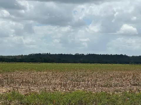 Corn-Farmed Agricultural Tract