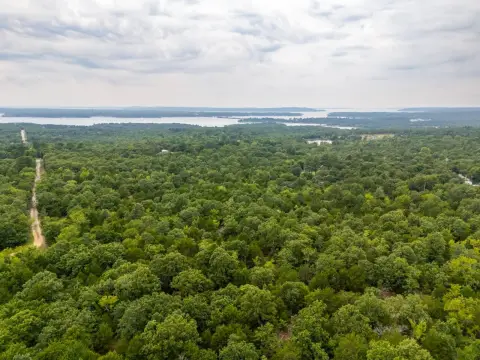 Wooded Recreation Land Parcel