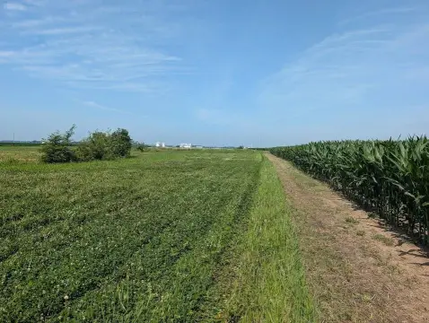 Buildable Farmland with Timber Hunting