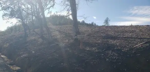 Residential Land in Grants Pass