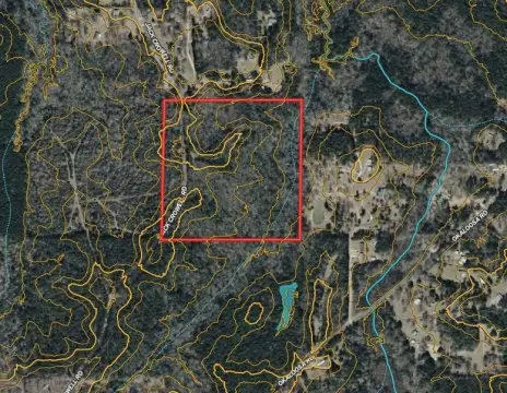 Timber Land with Creek Access