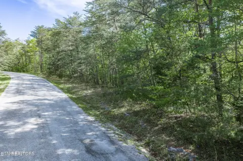 Residential Lot in Fairfield Glade