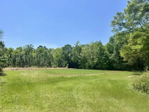 80 Acres Hunting Land, Evergreen