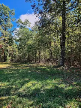 Land Near Camps Gulf Branch