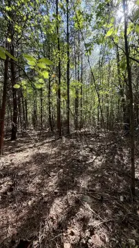 2.03 Acres in Palmer, TN