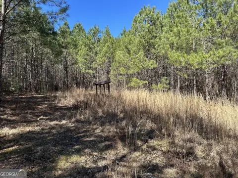 Warm Springs Hunting and Recreational Land