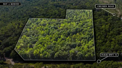 Dresden Land with Timber