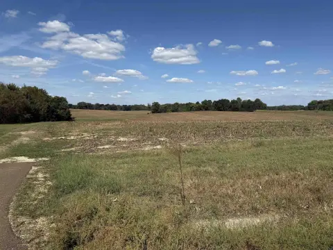 Union City Farmland For Sale