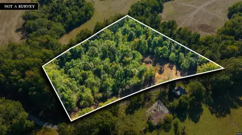 6.5 Acres of Farmland