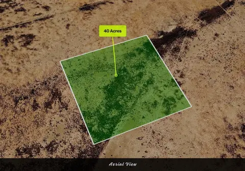 Recreational Hunting Land Tract