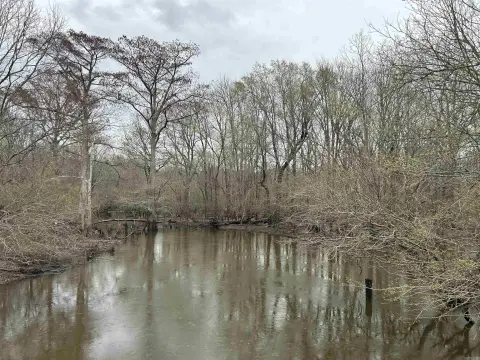 Palestine, AR Acreage For Sale