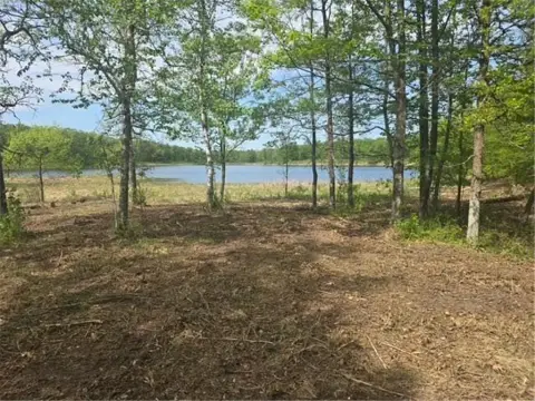 Wooded Waterfront Recreation Lot