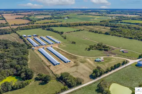Poultry Farm with Broiler Barns